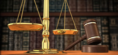 Image Title 5